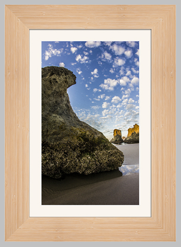 Bamboo Bay Photo Lab Bay Roes