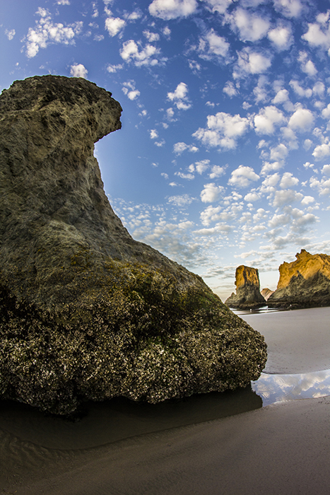 Bandon-Beach-Drifting-Clouds-Oregon-Coast-small website-IMG_0393