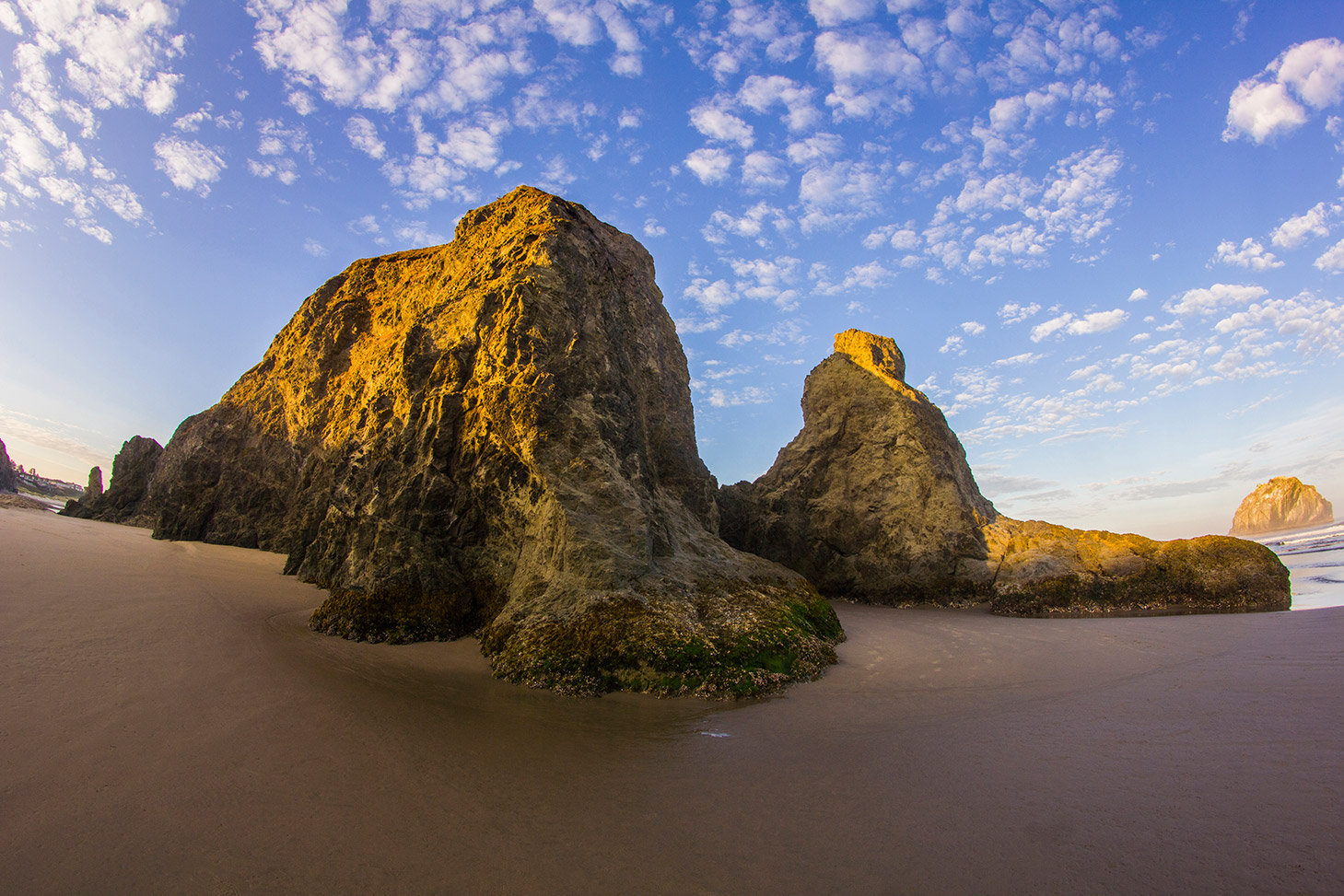 Bandon-Beach-Elephant-Rock-Oregon-Coast-0432