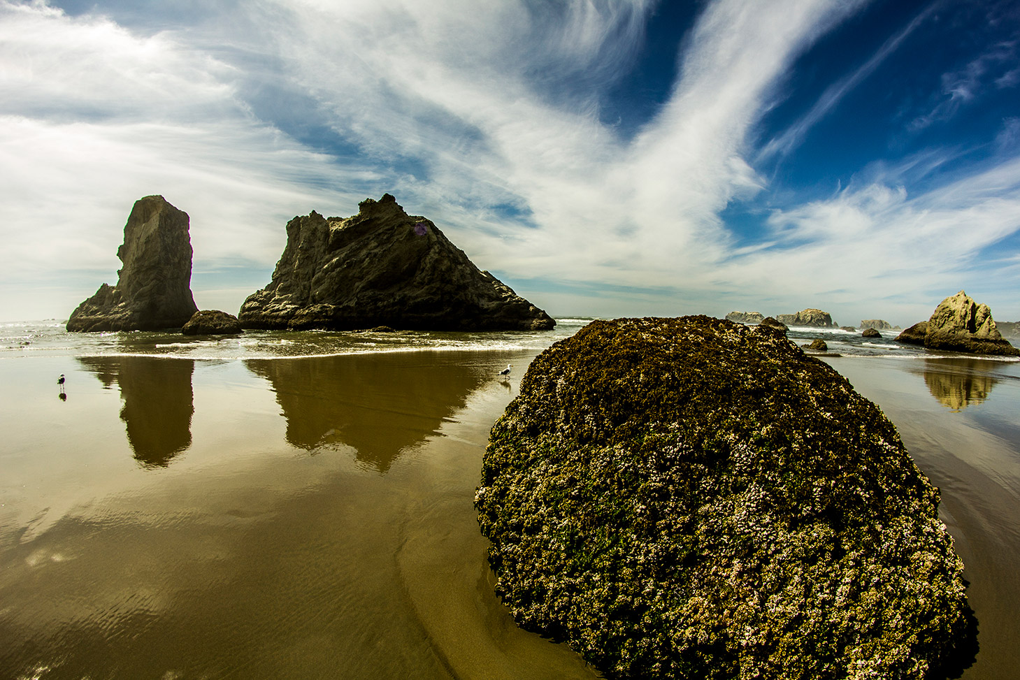 Bandon-Beach-Mighty-Reflecting-Rocks-Oregon-Coast-0070