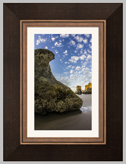 Bronze Reverse Bay Photo Lab Bay Roes