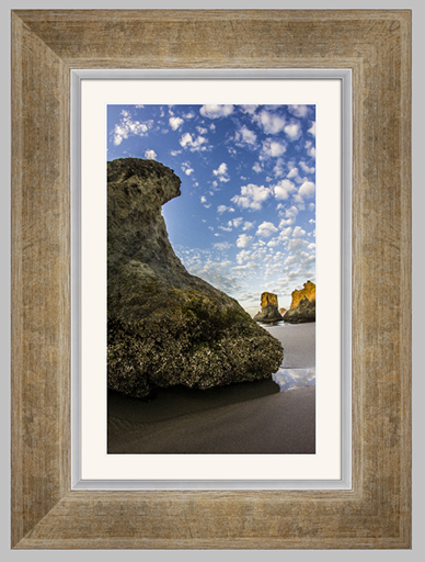 Champagne Bay Photo Lab Bay Roes