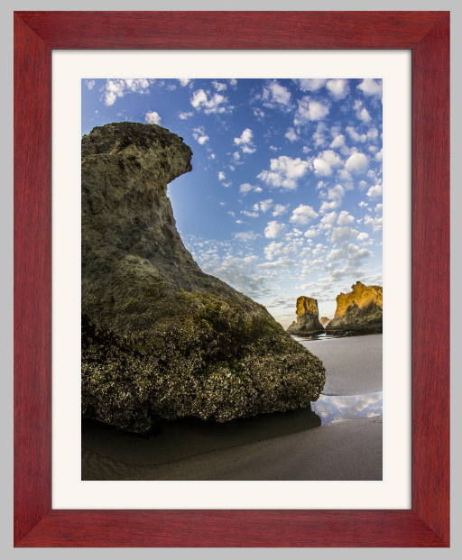 Cherry Frame Bay Photo Lab Bay Roes