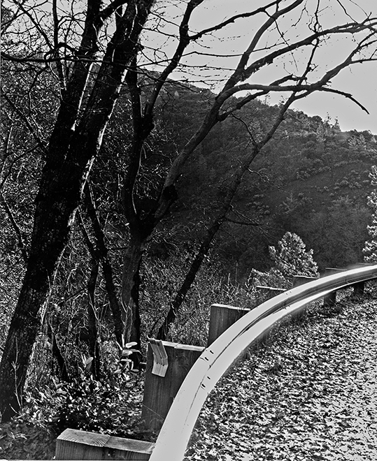 Curvature Seirra Navada Foothills California small size