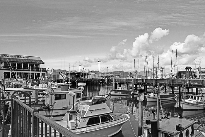 Fishermans-Wharf-Boats-Harbor-San-Francisco-IMG_1584
