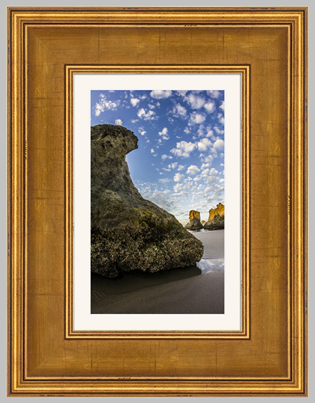 Gold Americana Bay Photo Lab Bay Roes