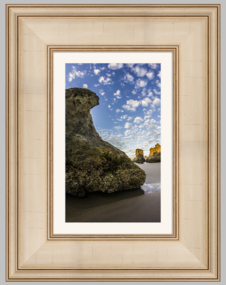 Ivory Americana Bay Photo Lab Bay Roes