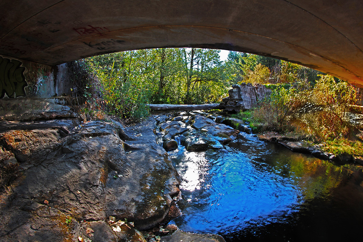 Mill-Creek-Booth-Kelly-Company-Ghost-Town-Wending-Oregon-3883