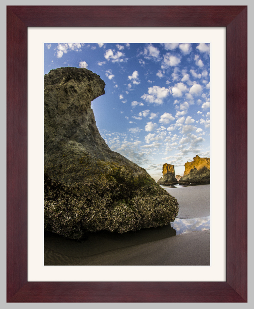 Mocha Frame Bay Photo Lab Bay Roes
