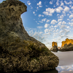 Bandon Beach Oregon Coast 0393